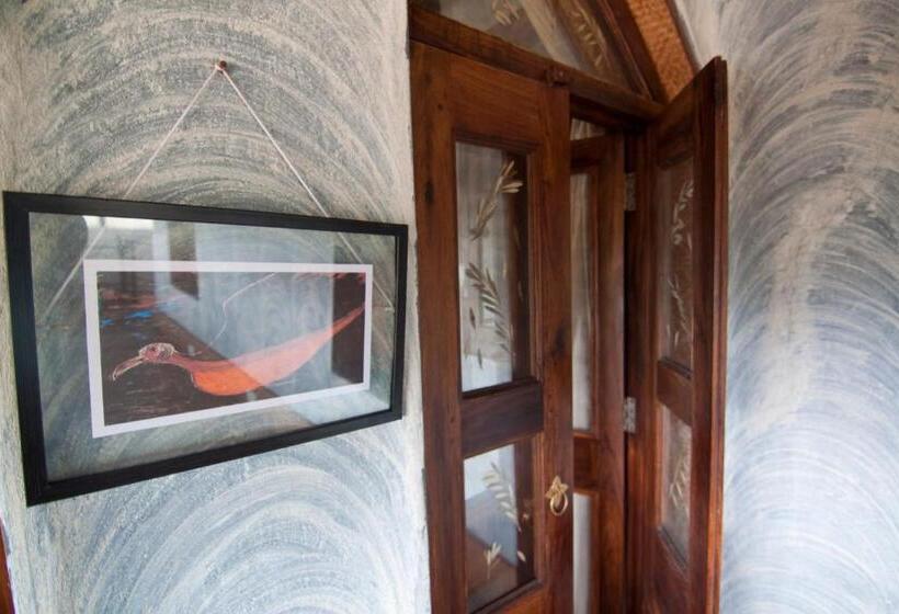 酒店 Olive Branch Farm