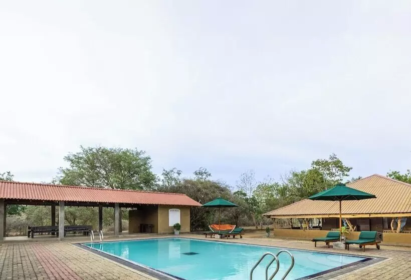 Hotelli Joe S Bungalow Yala