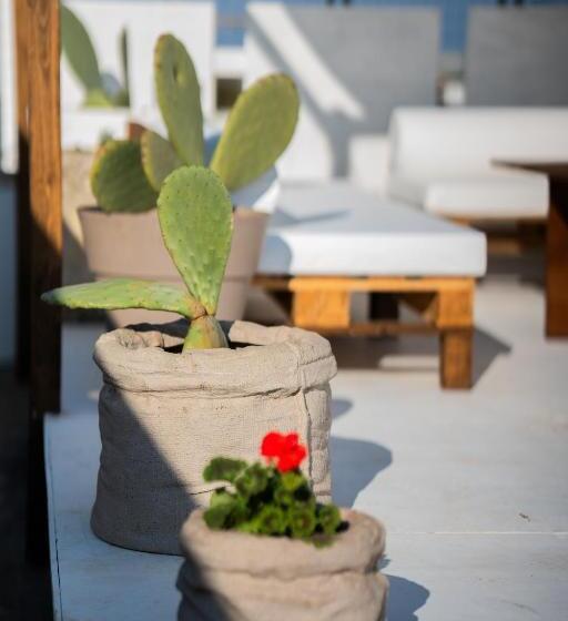 Majatalo Affittacamere Anemone  Grecale2 By Casavacanze Di Angelo