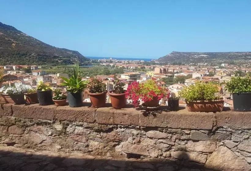 B&b Belvedere