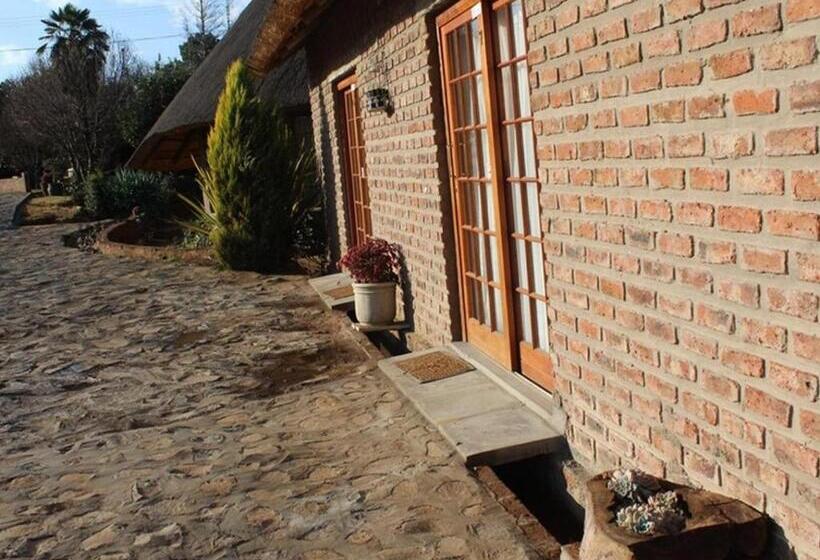 تختخواب و صبحانه Bird Haven Guesthouse