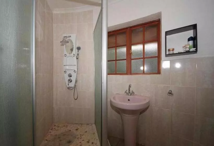 تختخواب و صبحانه Bird Haven Guesthouse