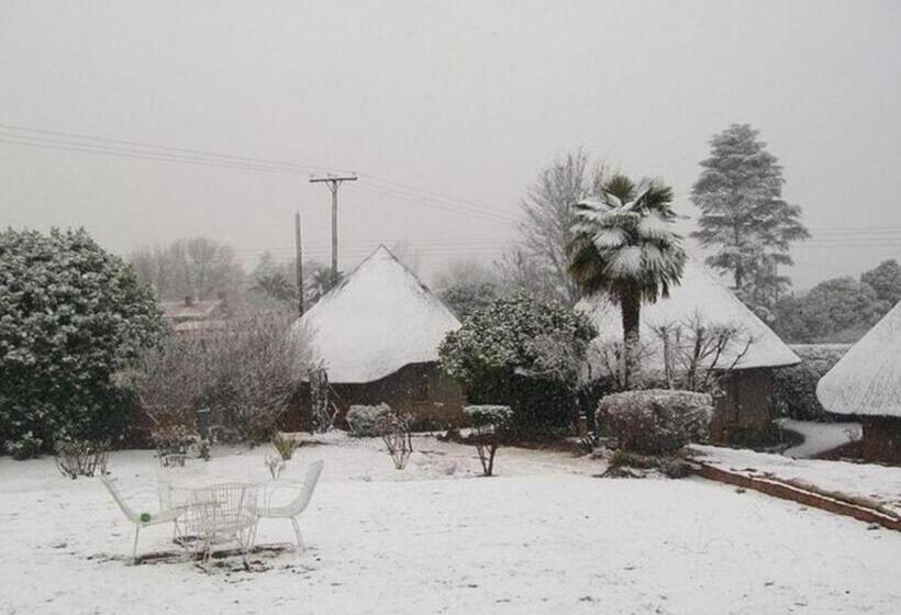 تختخواب و صبحانه Bird Haven Guesthouse