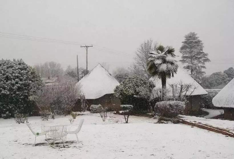 تختخواب و صبحانه Bird Haven Guesthouse