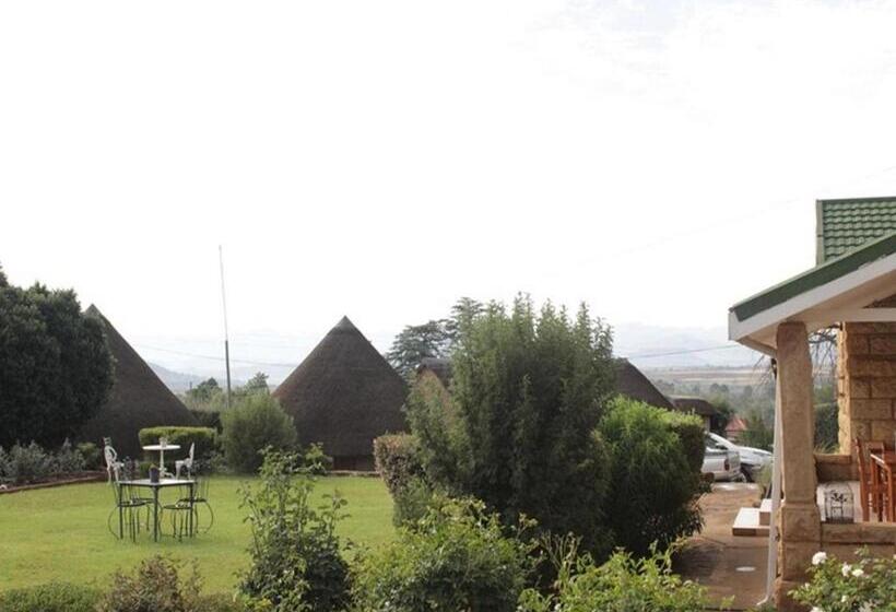 تختخواب و صبحانه Bird Haven Guesthouse