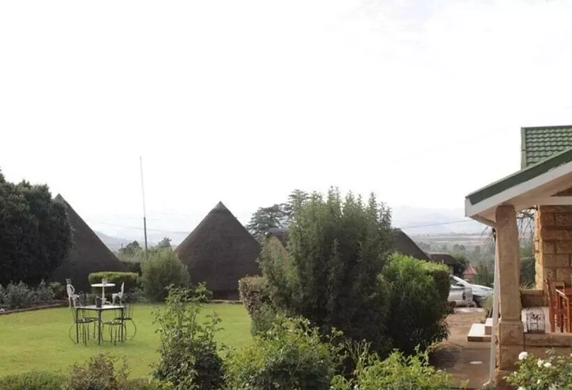 تختخواب و صبحانه Bird Haven Guesthouse