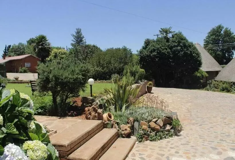 تختخواب و صبحانه Bird Haven Guesthouse