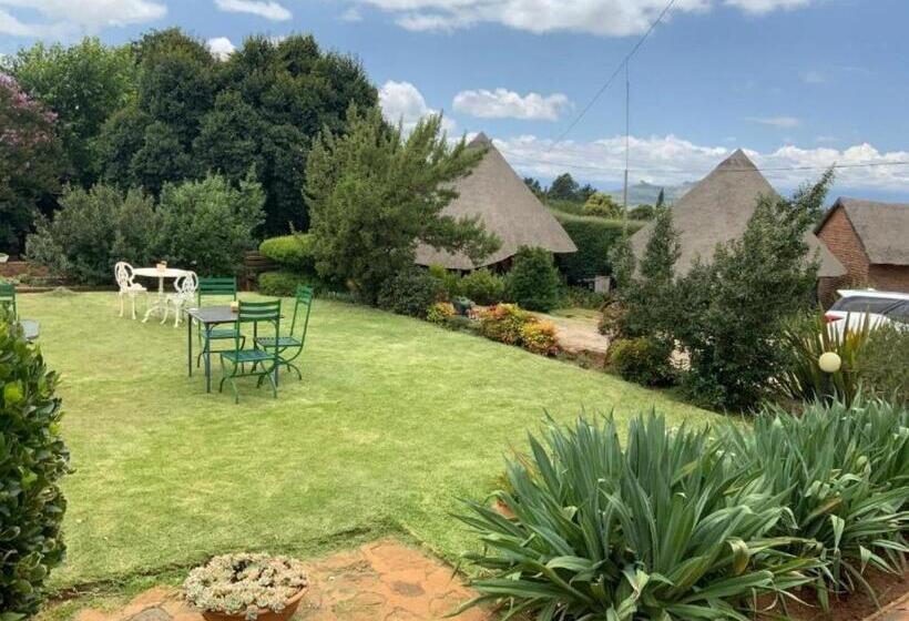 تختخواب و صبحانه Bird Haven Guesthouse