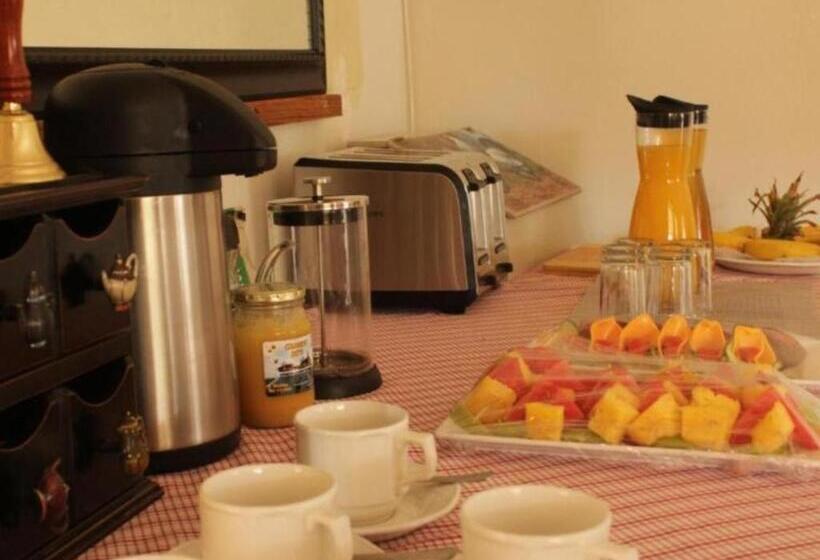 تختخواب و صبحانه Bird Haven Guesthouse