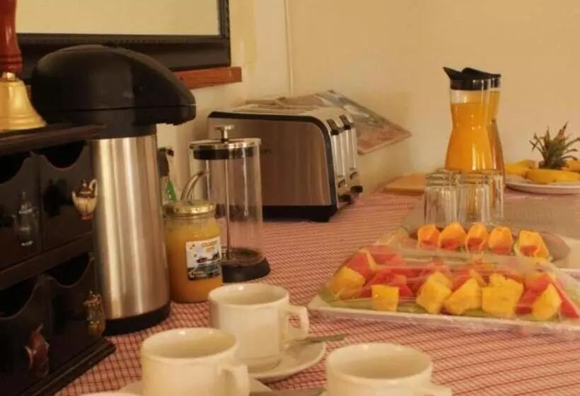 تختخواب و صبحانه Bird Haven Guesthouse