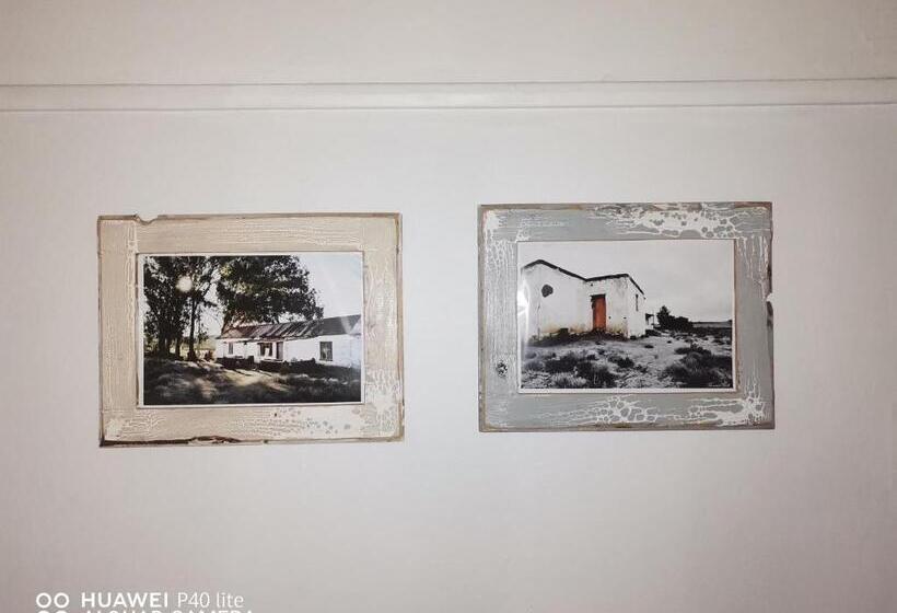 تختخواب و صبحانه Bird Haven Guesthouse