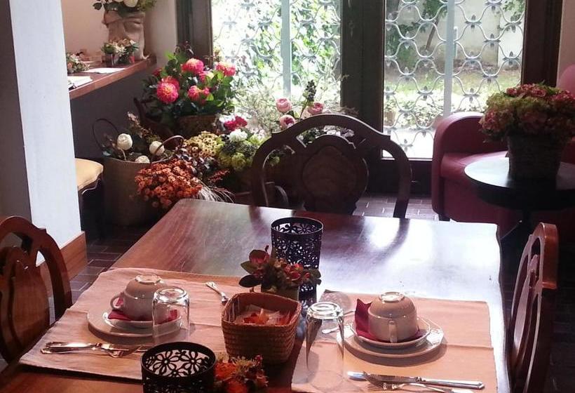 住宿加早餐  Casa Calicantus