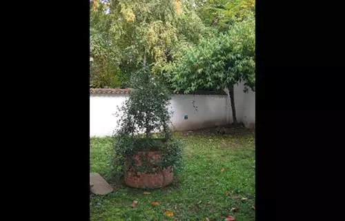تختخواب و صبحانه Casa Calicantus