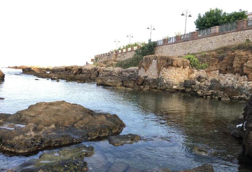 Bed and Breakfast Catalan Room S