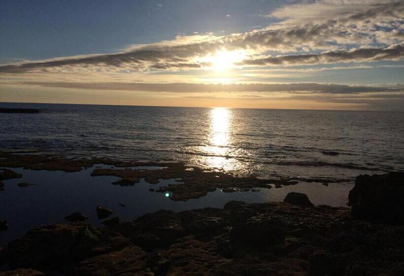 Bed and Breakfast Catalan Room S