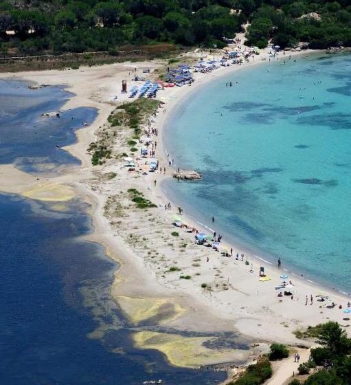 تختخواب و صبحانه Elisart Guest House