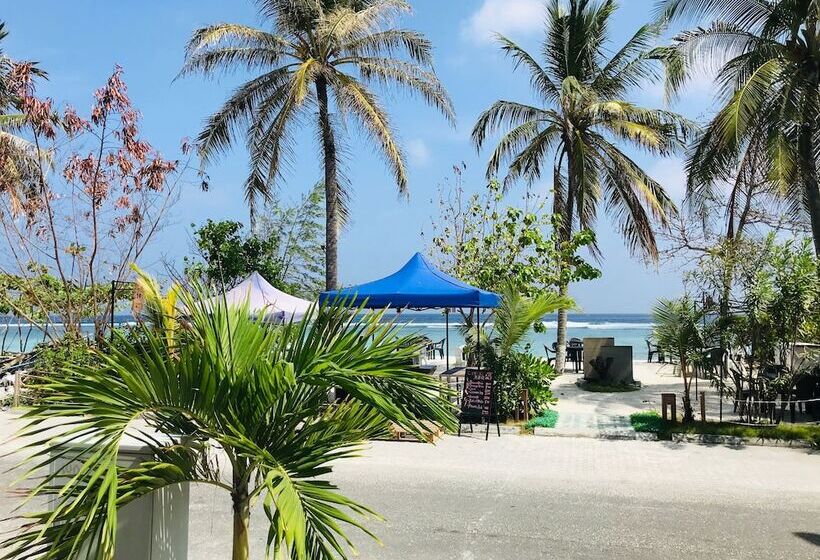 هتل Airport Comfort Inn Premium