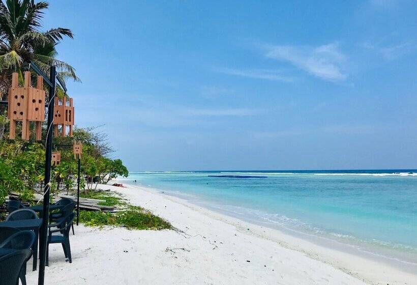 هتل Airport Comfort Inn Premium