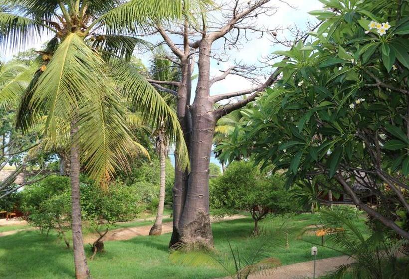 בית מלון כפרי De La Baie