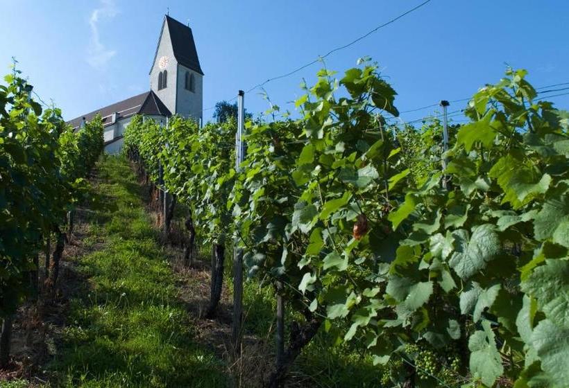 هتل Gasthof Zum Deutschen Rhein