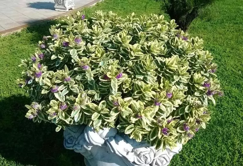 Hotelli Ginevra