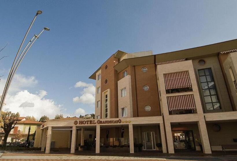 Отель Granducato