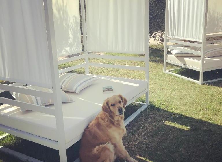 Residence Gli Stingi