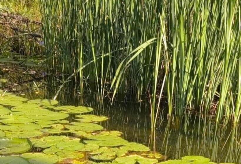 膳宿费 Ndi Musanda @ Nandoni