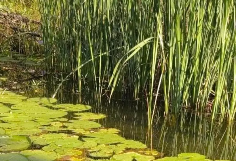 ペンション Ndi Musanda @ Nandoni