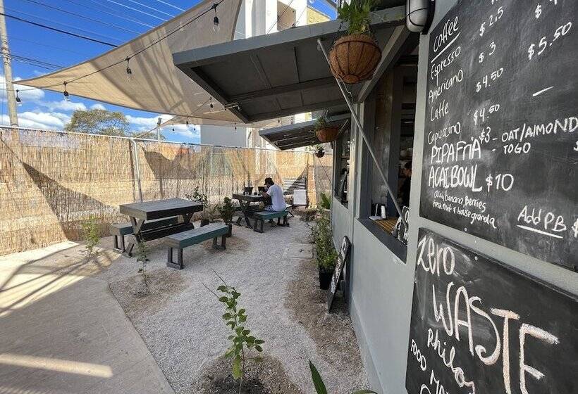 هاستل Pupa House