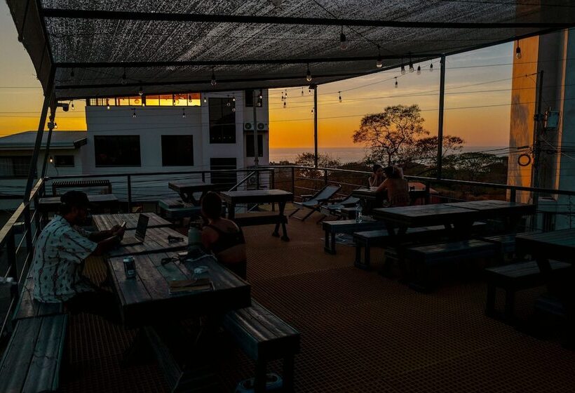 هاستل Pupa House