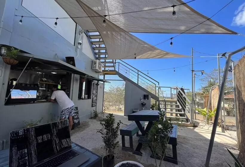 هاستل Pupa House