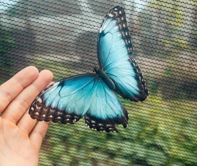 هاستل Pupa House