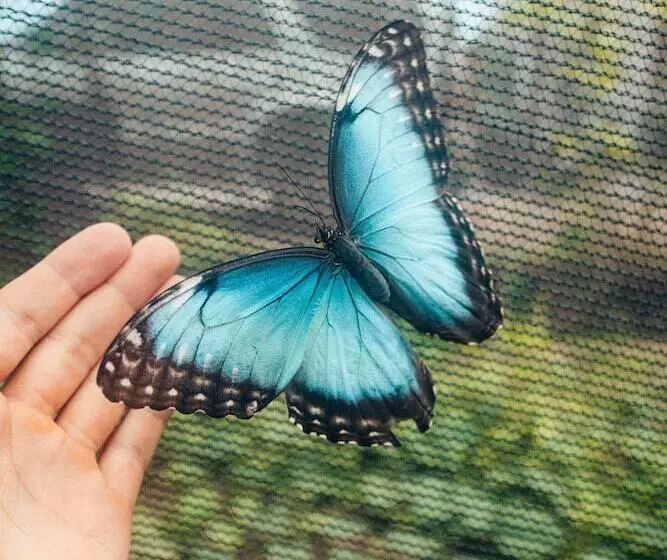 هاستل Pupa House