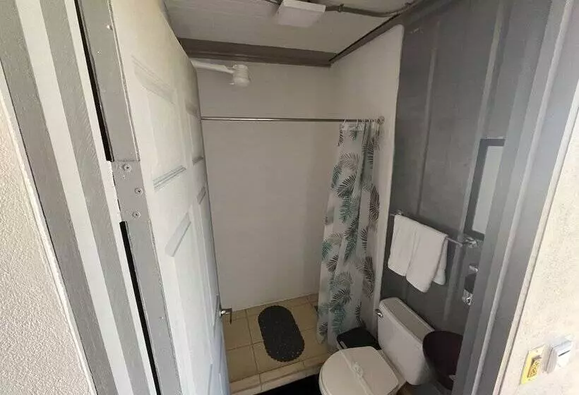 هاستل Pupa House