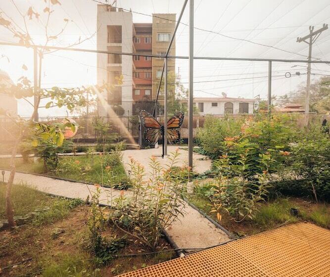 هاستل Pupa House