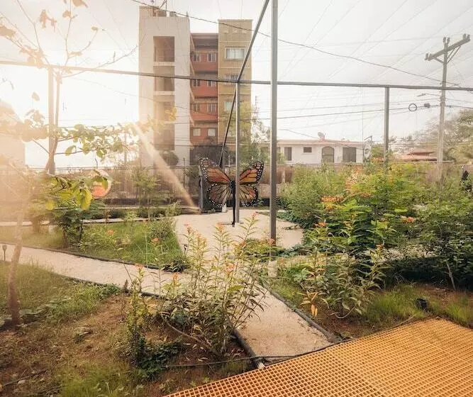 هاستل Pupa House