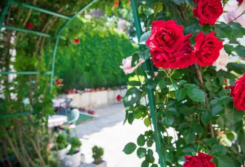 ペンション стаи за гости