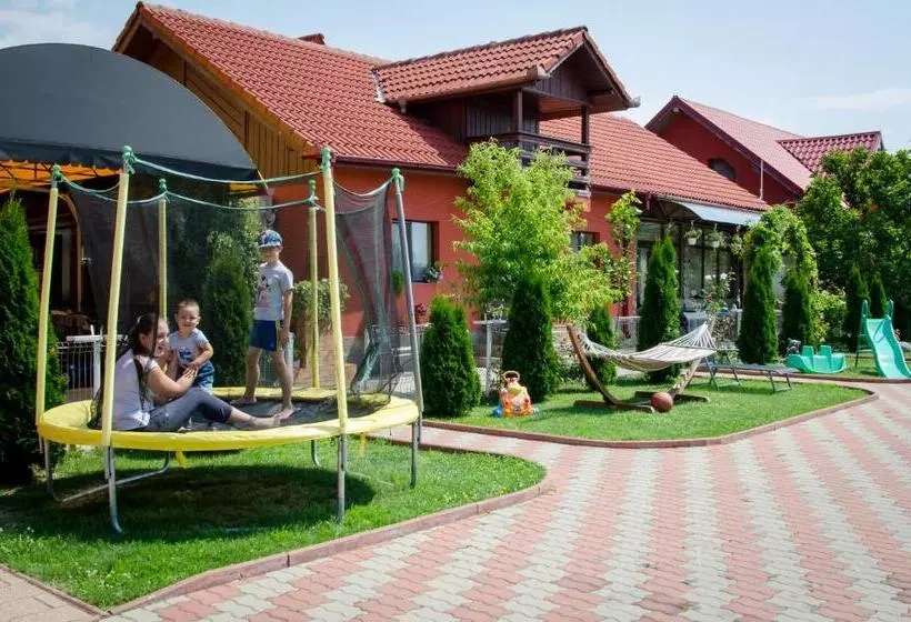 Pensiunea Viitorul
