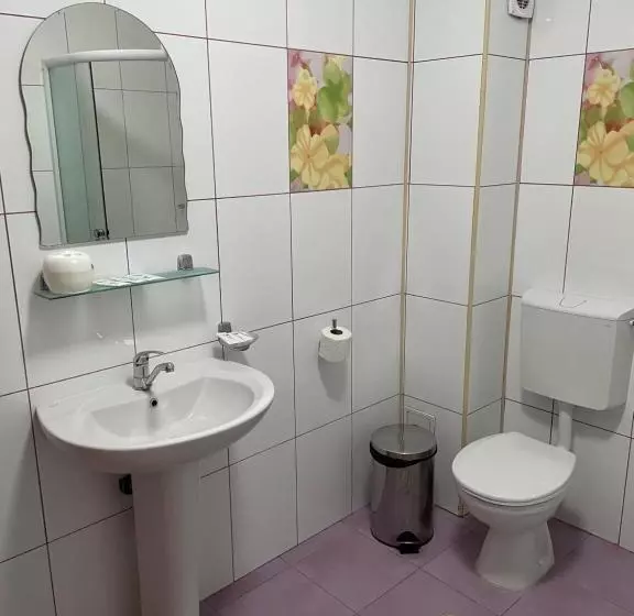 Pensiunea Viitorul