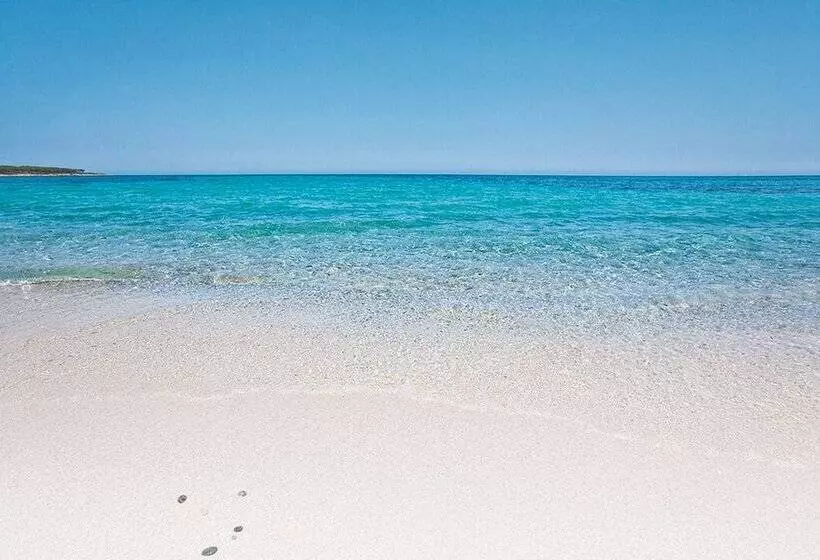 ホテル Futura Club Cala Fiorita