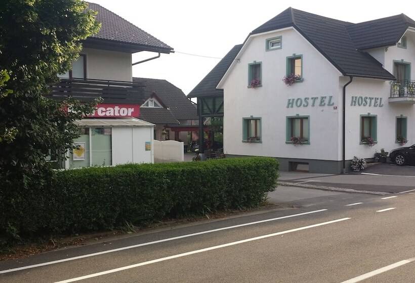 هاستل Mama's House