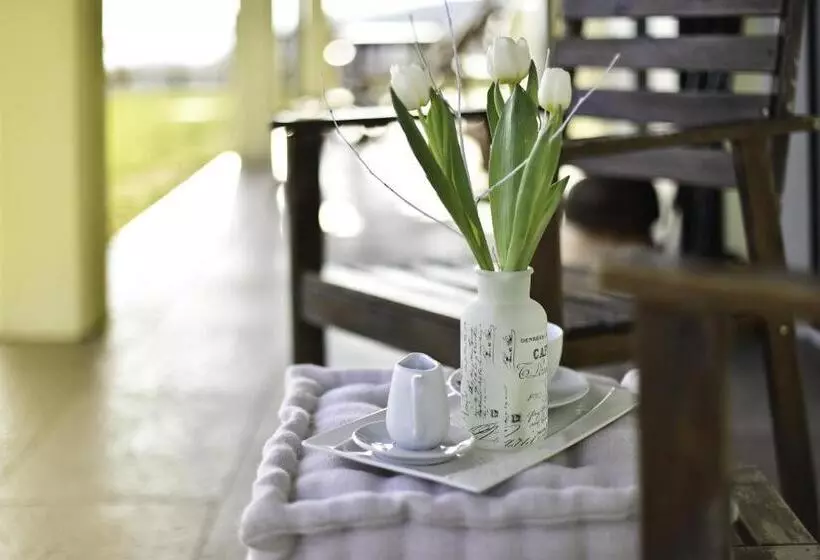 B&b Calligaris
