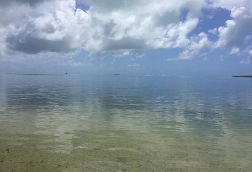 تختخواب و صبحانه Coco Villa