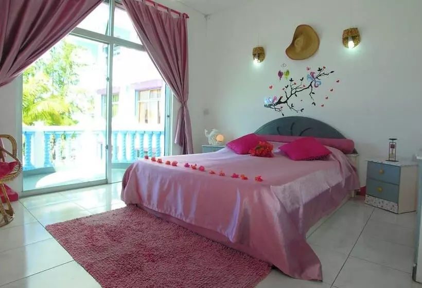 تختخواب و صبحانه Coco Villa