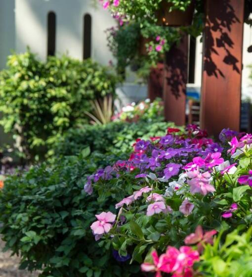 Отель Le Bouton Dor Boutique