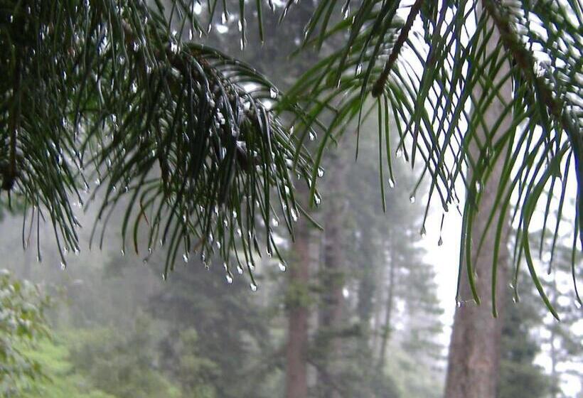 Resort European Complex