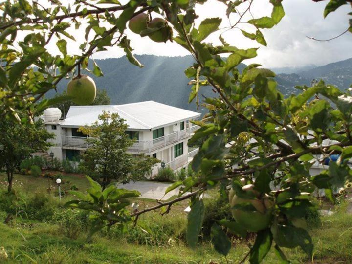 Resort European Complex