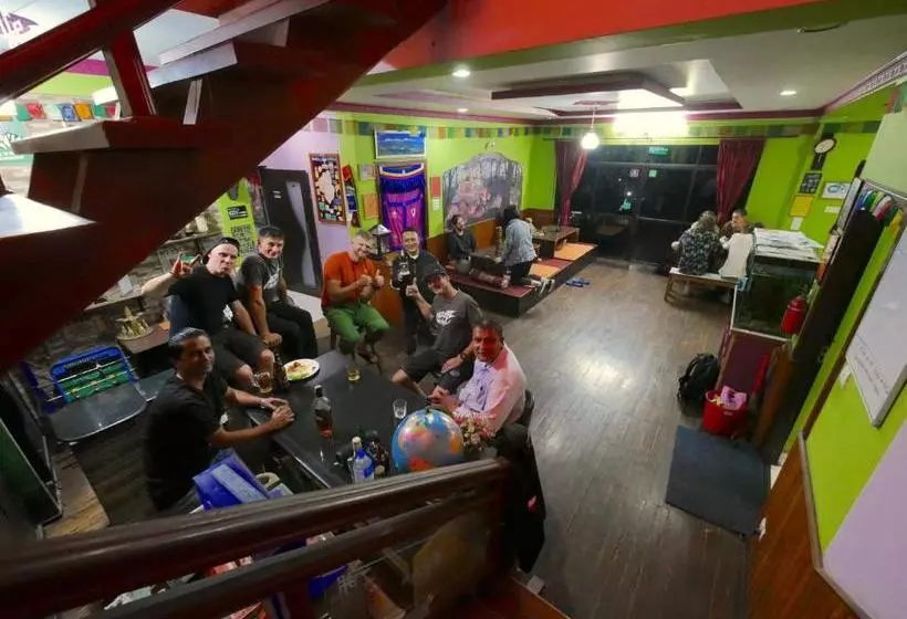 The Sparkling Turtle Backpackers Hostel
