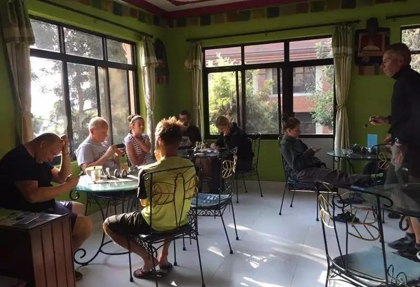 The Sparkling Turtle Backpackers Hostel